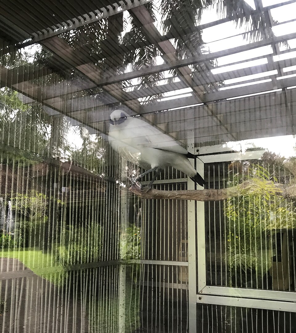 Bali Zoo